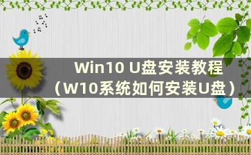 Win10 U盘安装教程（W10系统如何安装U盘）